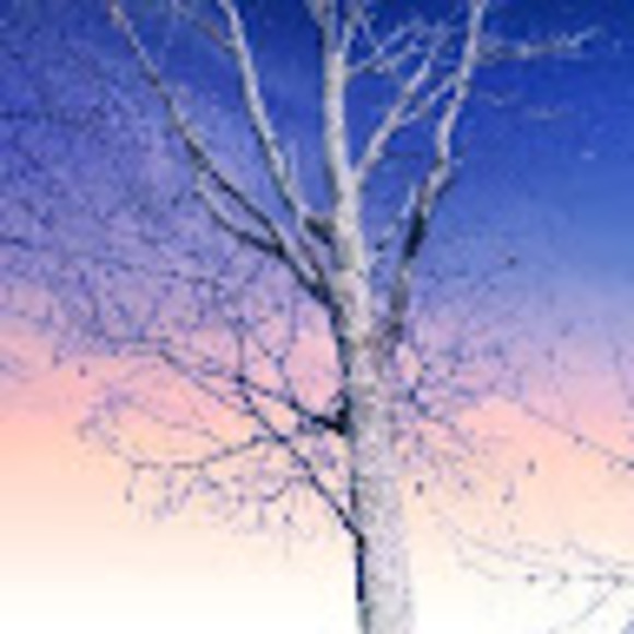 Meet your Posher, Nicholas - Picture 1 of 1